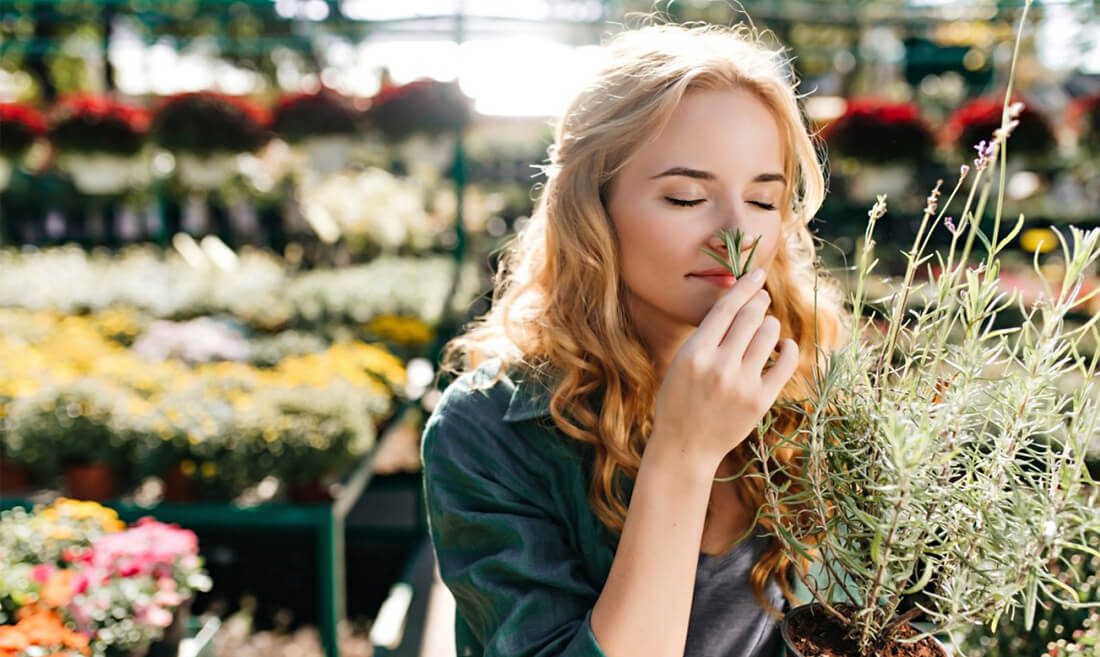 Ženska vonja zelišča