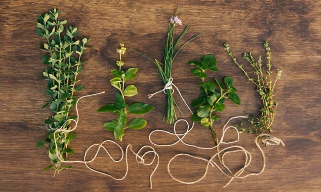 Razna zelišča na mizi